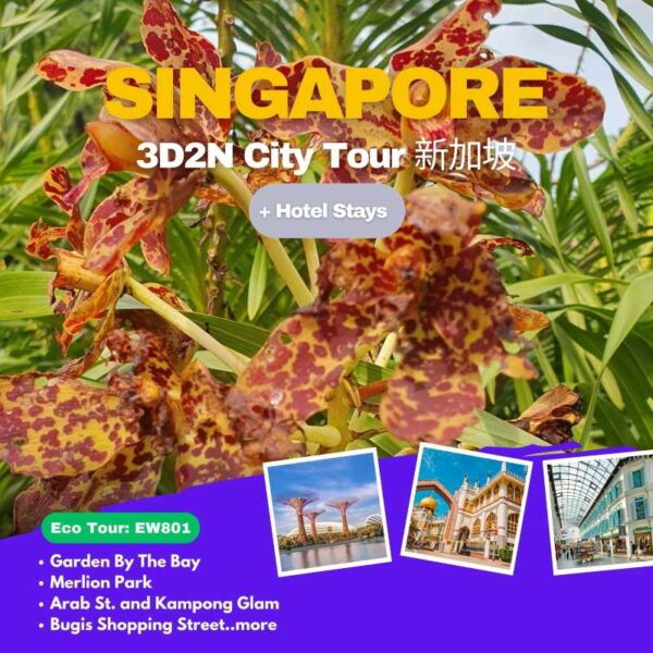 3D2N Singapore Getaway Tour | Experience Singapore in a Unique Way (EW801)