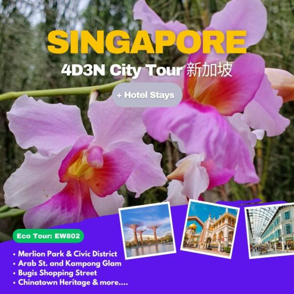 4D3N Singapore Getaway Tour | Experience Singapore in a Unique Way (EW802)