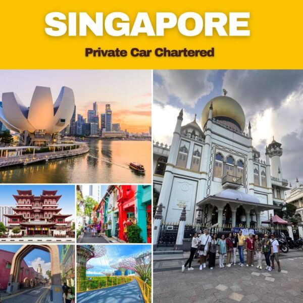 Private Singapore Local Car Tour + Guide (4 Hours)