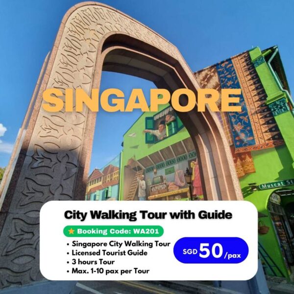 Singapore City Walking Tour Local Guide (WA201)