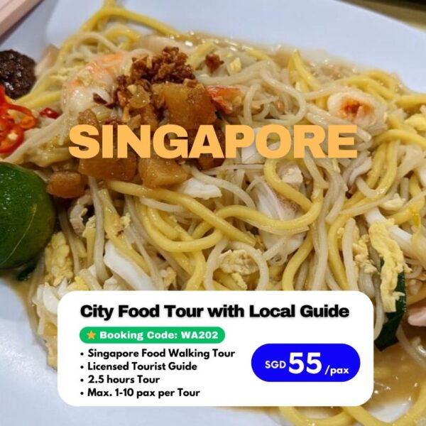 Singapore City Food Tour with Local Guide (WA202)
