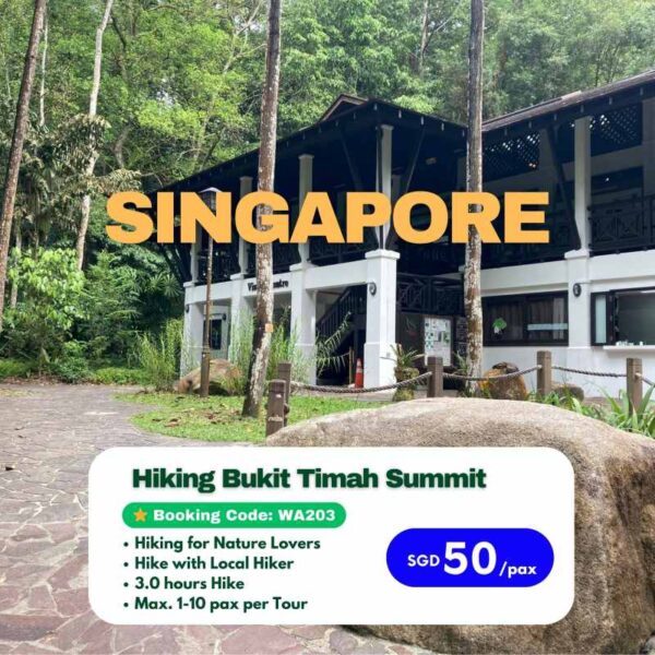 Bukit Timah Summit | Discover Singapore's Greenery and Biodiversity through Hiking (WA203)